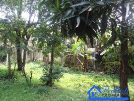 Land for Sale at Colombo 05